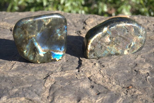 Labradorite free form