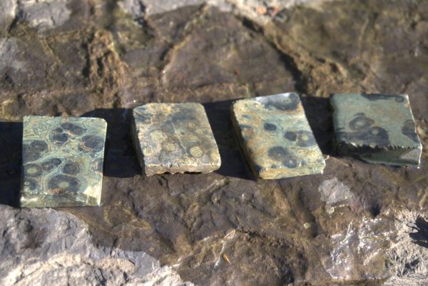 Ocean jasper raw slab